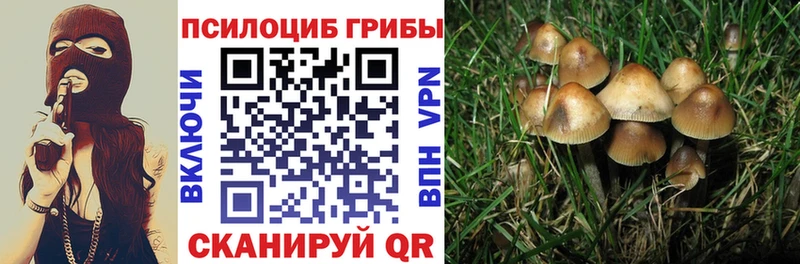 Галлюциногенные грибы мицелий  Купить где  Чебоксары 